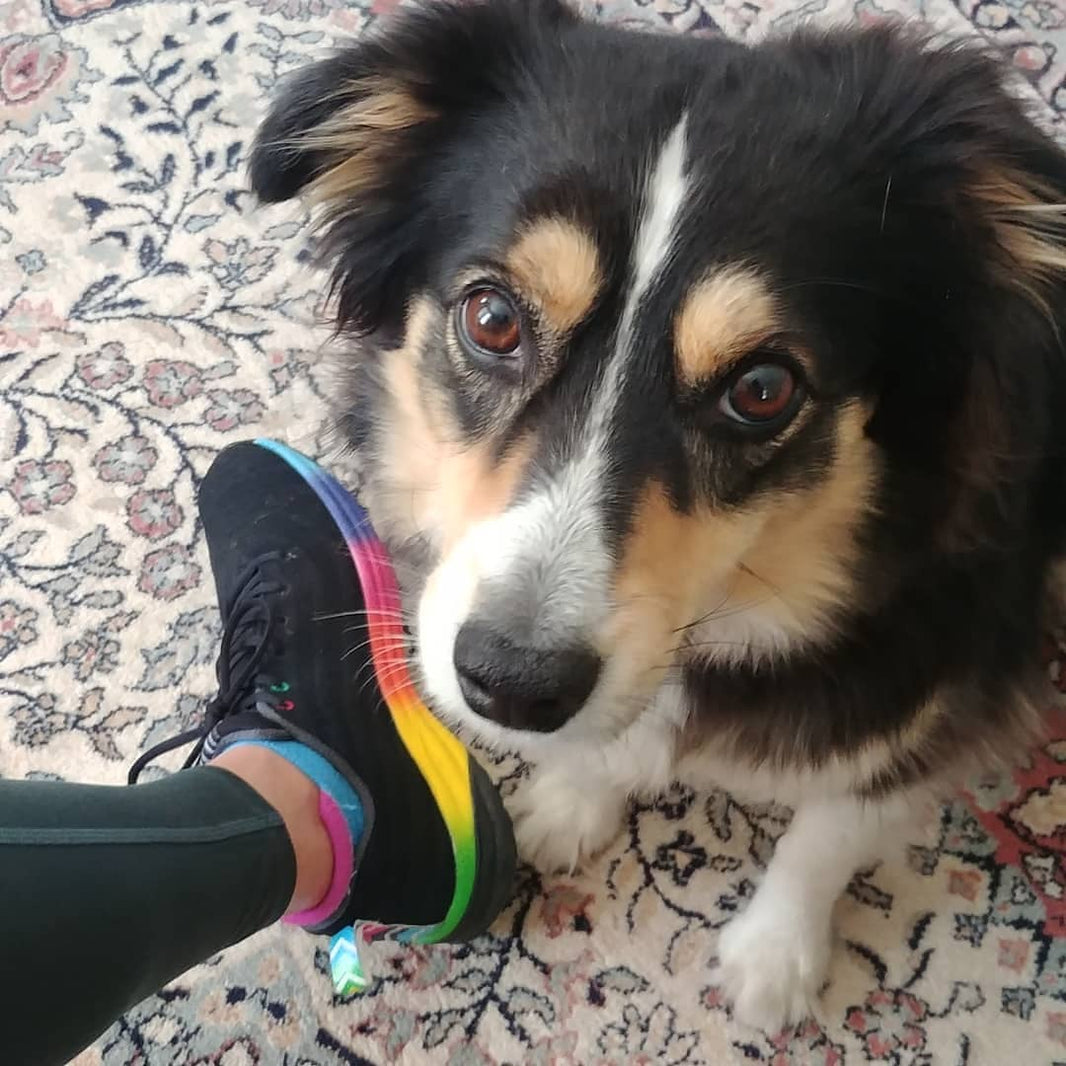 Habari za Wiki - 9 March, 2021