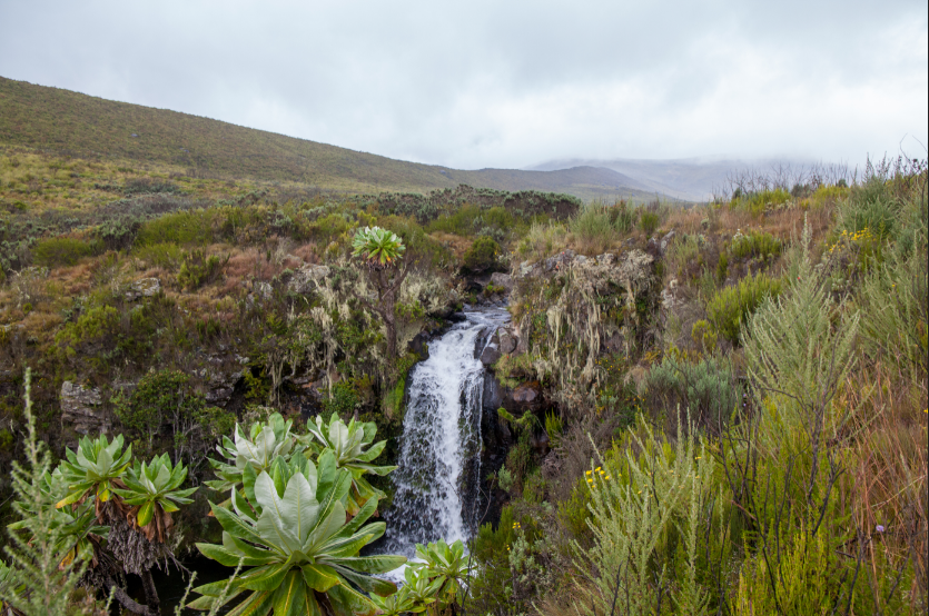 Tales of The Fastest Known Time Summiting Mt Kenya via Chogoria Route