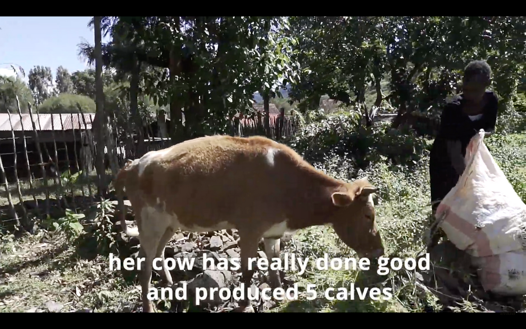 Calling for Applicants: The Enda Community Wants to Support You