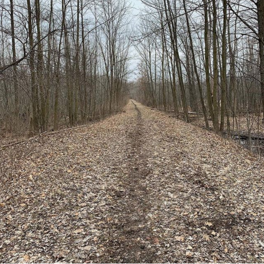 This is how long weekend long runs should be