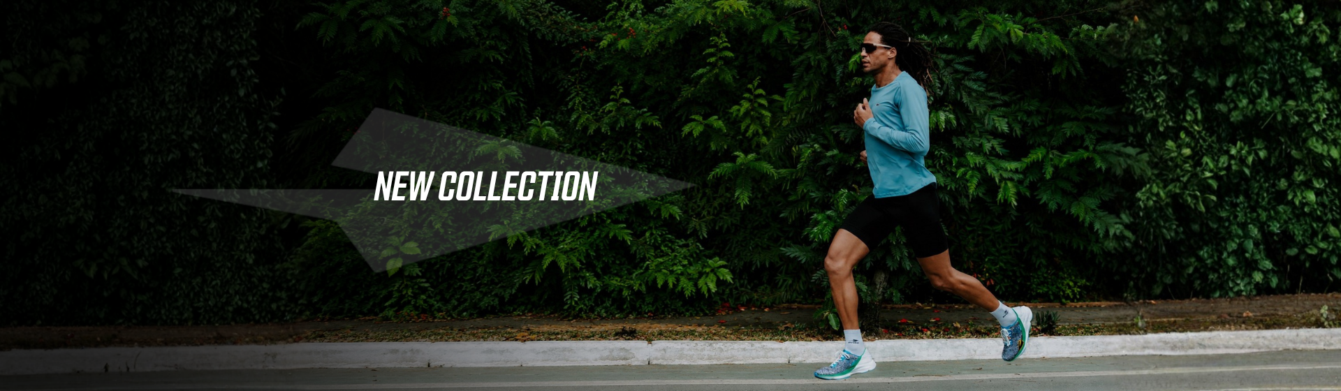 New Collection
